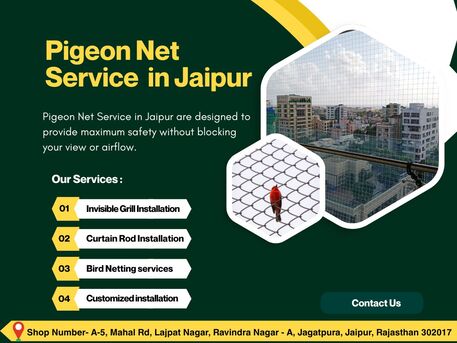 Jaipur, Business, Top Pigeon Net Service In Jaipur With Easy Installation