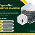 Top Pigeon Net Service In Jaipur With Easy Installation
