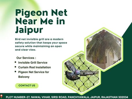 Jaipur, Business, Best Pigeon Net Near Me In Jaipur For Home Safety