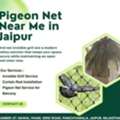 Best Pigeon Net Near Me In Jaipur For Home Safety