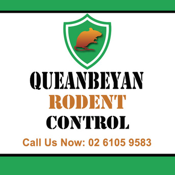 Sydney, Business, Queanbeyan Rodent Control