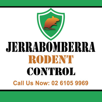 Sydney, Pest Control, Jerrabomberra Rodent Control