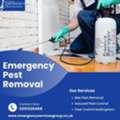 Who Offers Emergency Pest Removal Services 24/7?