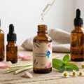 Essential Oil Manufacturer &ndash; Pure, Natural & Bulk Supply