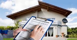 Sydney, Business, Reliable Building & Pest Inspections In Yeppoon & Rockhampton