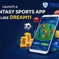 Develop A Fantasy League App Like Dream11 With Live Scores