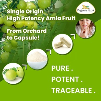 Austin, Health & Beauty Items, USD 28,  Amla Fruit Capsules