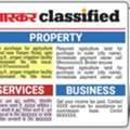 Reach Buyers Fast With Newspaper Property Ads
