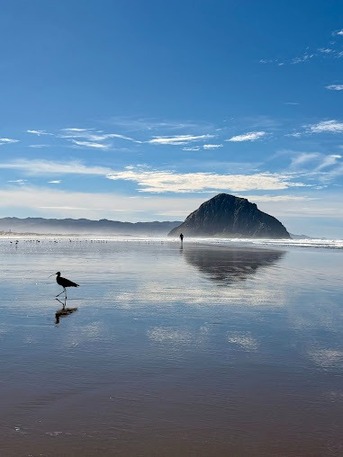 New York, Health, Robles Ranch