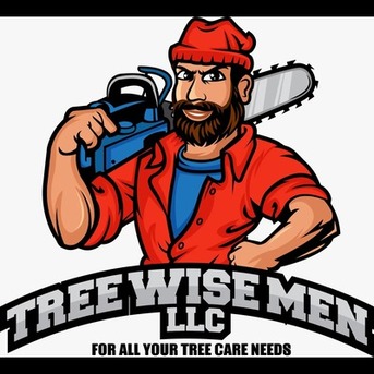 New York, Business, Tree Wise Men