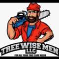 Tree Wise Men