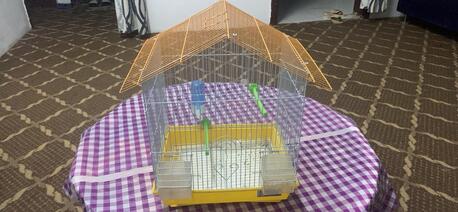 Riyadh, Household Items, SAR 25,  Bird Cages