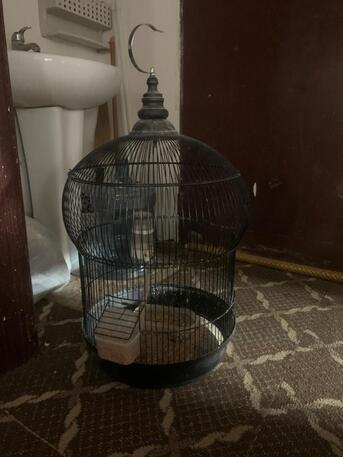 Riyadh, Household Items, SAR 25,  Bird Cages