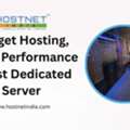 Budget Hosting, Beast Performance &ndash; Best Dedicated Server