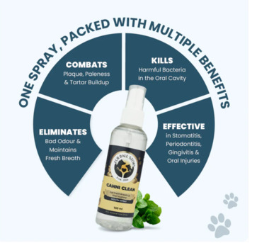 Gurgaon, Pet Sitting, Fresh Breath, Happy Pets &ndash; Instantly