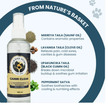 Gurgaon, Pet Sitting, Fresh Breath, Happy Pets &ndash; Instantly