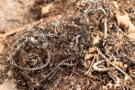 Melbourne, Recycling, Scrap Copper Collection Services In Melbourne &ndash; Fast & Reliable