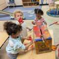 Why Choose Preschool For Toddlers In Los Gatos For Early Growth And Learning?