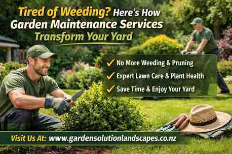 Auckland, Farm/Garden, Tired Of Weeding? Here