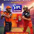 IPL 2026 SRH Vs RCB Updates Via Dafabet Login