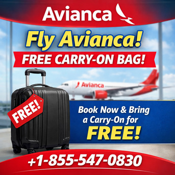 New York, Travel, Does Avianca Give You A Free Carry-on?