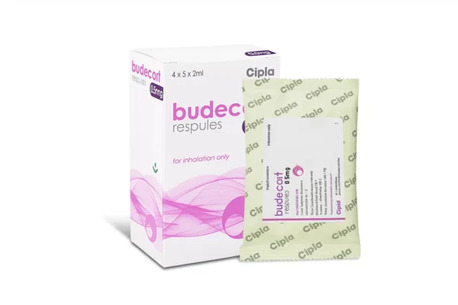 New York, Health, Budecort Respules 0.5 Mg Vs Oral Steroids &ndash; Why Inhaled Therapy Is Safer