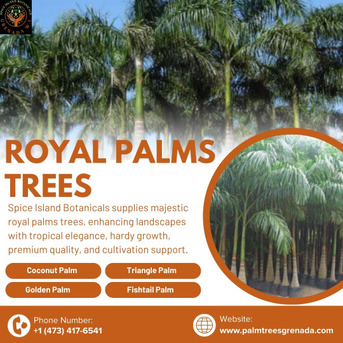 Anguilla, Business, Royal Palms In Grenada