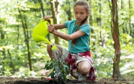 New York, Education, Nature Preschools In Portland | Nature Based Preschools & Daycare
