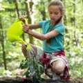 Nature Preschools In Portland | Nature Based Preschools & Daycare