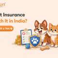Is Pet Insurance Worth It In India? Save Big On Vet Bills Today