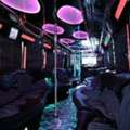 Wedding Charter Bus | Corporate Express Inc