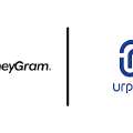 Looking For Traders With With Urpay,stcpay,Mobilypay