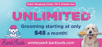 New York, Pet Sitting, Quality Winter Park Dog Grooming Care Services