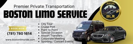Boston, Automotive, Boston Limo Ride