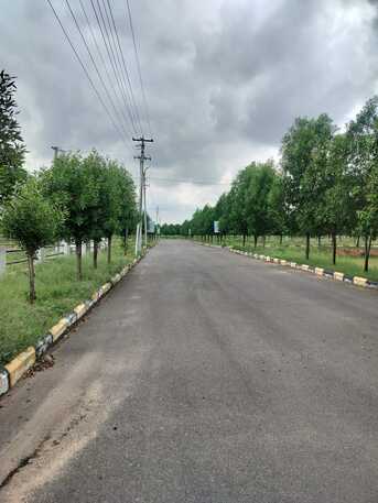 Hyderabad, Residential Plots, INR 12500,  183 Sq. Yard,  Planning To Build Your Dream Home Or Invest For High Future Returns