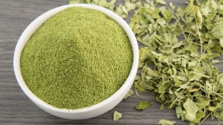 Ahmedabad, Wholesale Products, Moringa Powder Suppliers In Gujarat