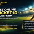 Best Online Cricket ID Provider For Seamless Match Experience