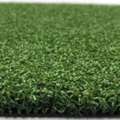 AUD 4000,  Best Artificial Grass In Vincentia
