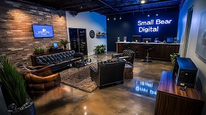 New York, Web Design & Development, Small Bear Digital
