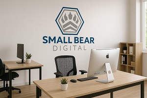 New York, Web Design & Development, Small Bear Digital