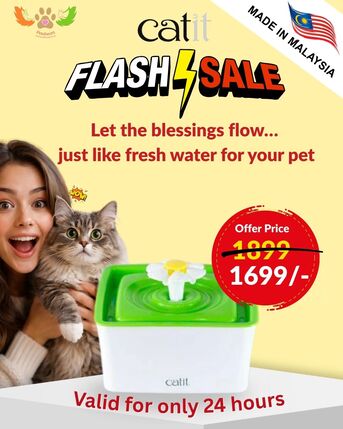 Mumbai, Pet Supplies, INR 1699,  Best Cat Drinking Fountain With Filter Catit Mini Flower Fountain
