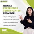 Experience Certificates Provider In Kochi