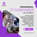 Professional IT Companies In Dubai For Advanced IT Solutions