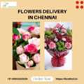 Flowers Delivery In Chennai