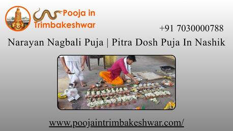 Mumbai, Career Counseling, Narayan Nagbali Puja | Pitra Dosh Puja In Nashik