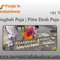 Narayan Nagbali Puja | Pitra Dosh Puja In Nashik