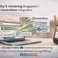 Affinity E-Invoicing Singapore | InvoiceNow Integration