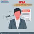 H1B Visa Consultants In India - Continental Immigration