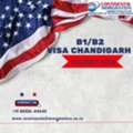Visa Consultants In Chandigarh - Continental Immigration