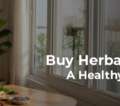Premium Herbal Tea Online: Why Should You Buy Herbal Tea Online From Cuppanord For A Healt